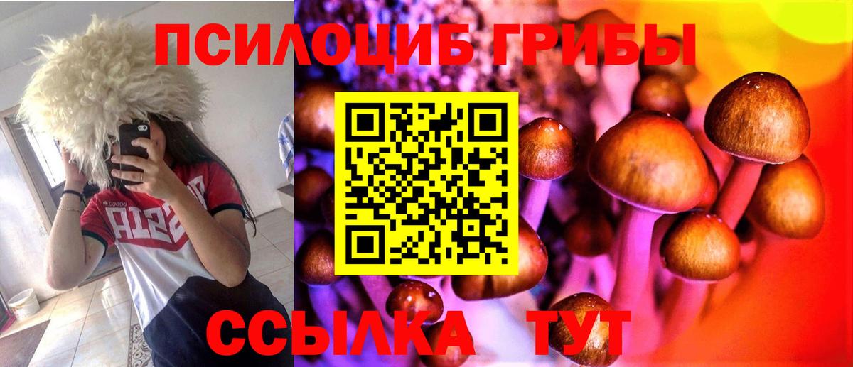 Галлюциногенные грибы Magic Shrooms Химки