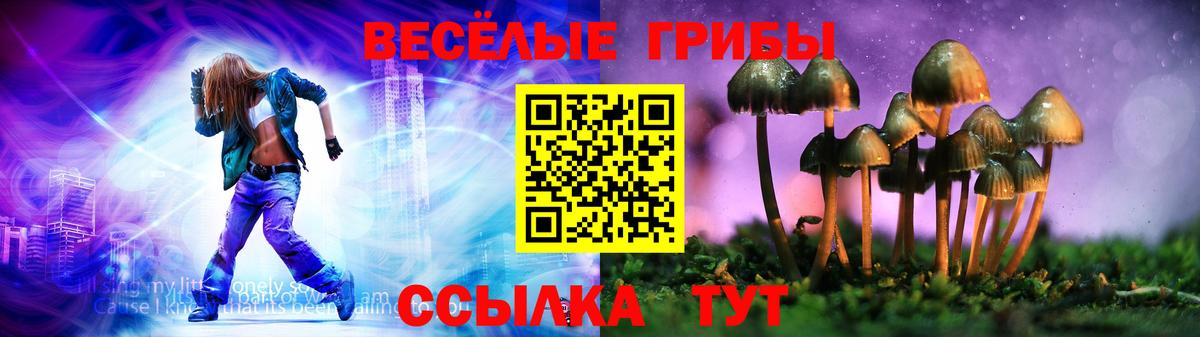 Галлюциногенные грибы Magic Shrooms  Вход с VPN  Химки 
